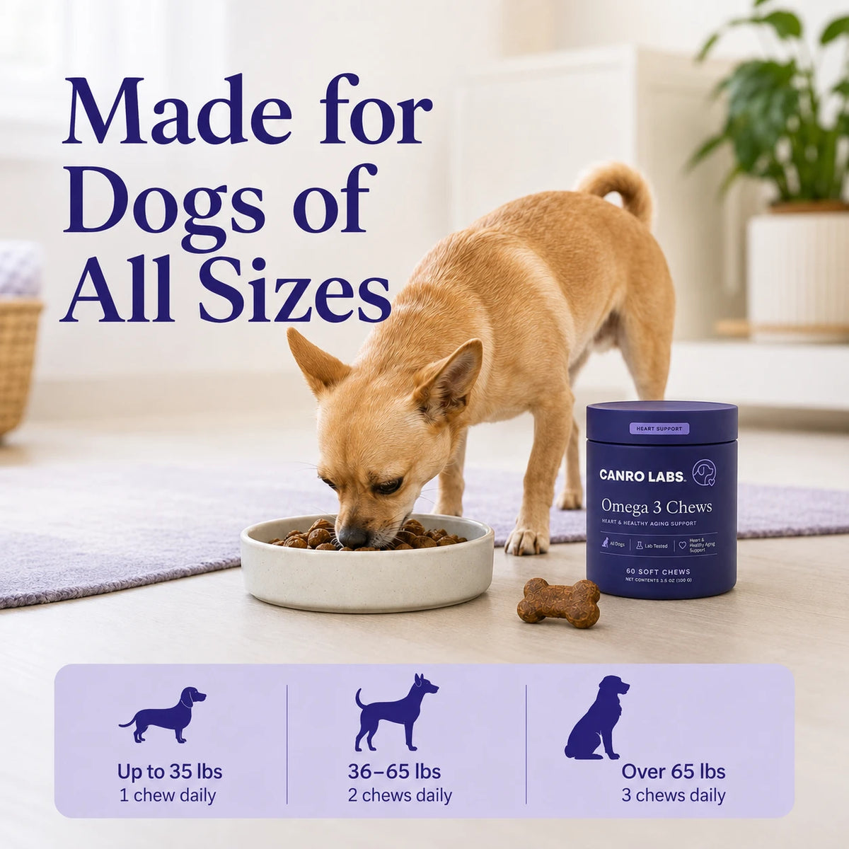 Omega 3 Chews